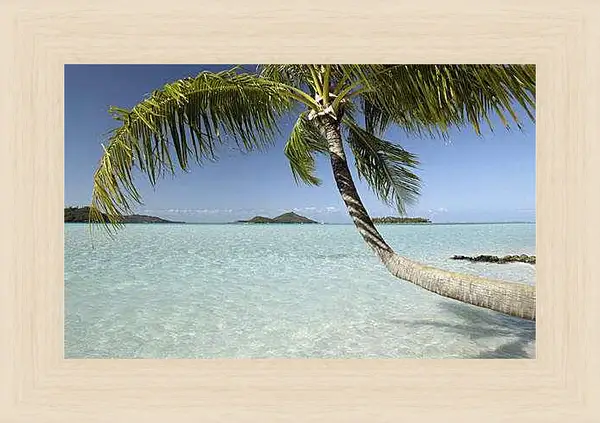 Картина в раме - Лето