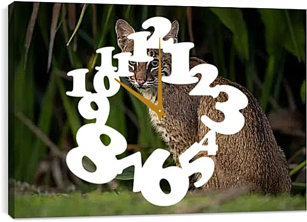 Часы картина - Рысь