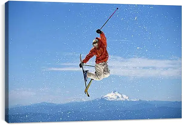 Постер на подрамнике - Фантастический прыжок