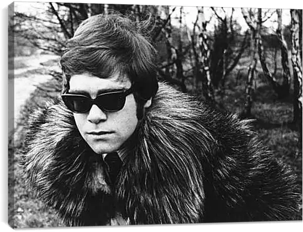 Постер на подрамнике - Элтон Джон. Elton John