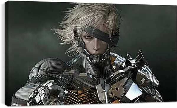Постер на подрамнике - Metal Gear Rising: Revengeance
