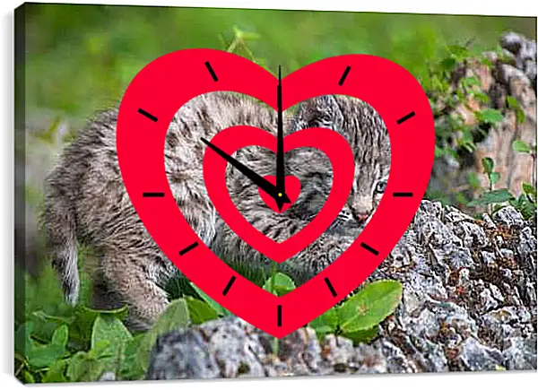 Часы картина - Рысь