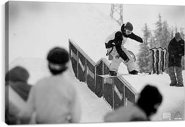 Постер на подрамнике - Прохождение препятствий