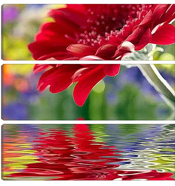 Модульная картина - Отражение цветка