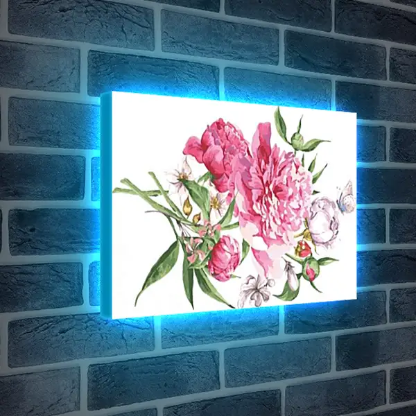 Лайтбокс световая панель - Пионы и бабочка