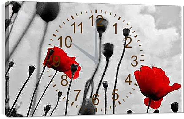 Часы картина - Маки