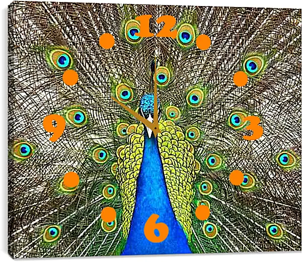 Часы картина - Павлин с распущенным хвостом