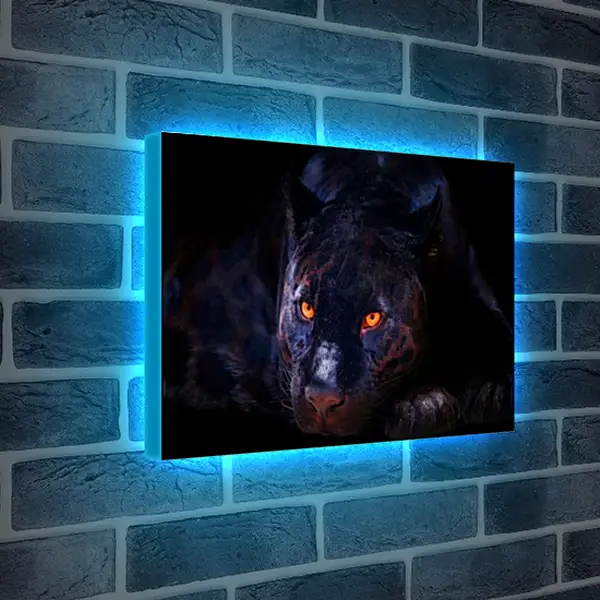 Лайтбокс световая панель - Пантера со светящимися глазами