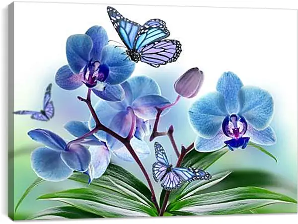 Постер на подрамнике - Бабочка крупным планом