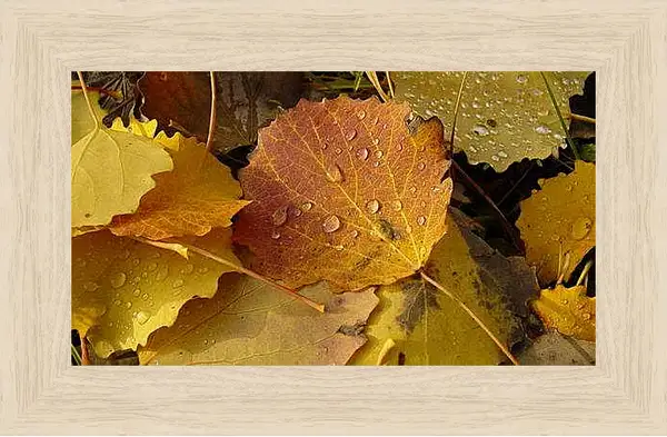 Картина в раме - Осень