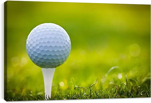 Постер на подрамнике - Мяч на гольф-ти