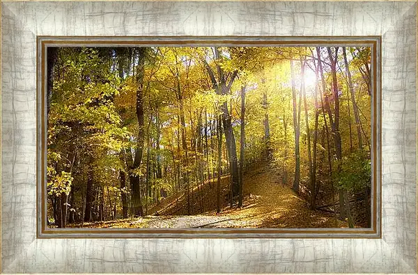 Картина в раме - Осень