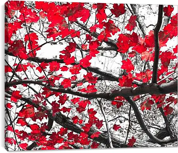 Постер на подрамнике - Осень