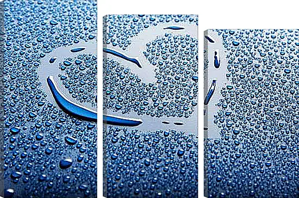 Модульная картина - Чувство