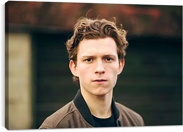 Постер на подрамнике - Том Холланд. Tom Holland