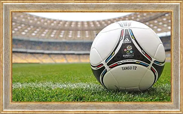 Картина в раме - Официальный мяч Евро 2012