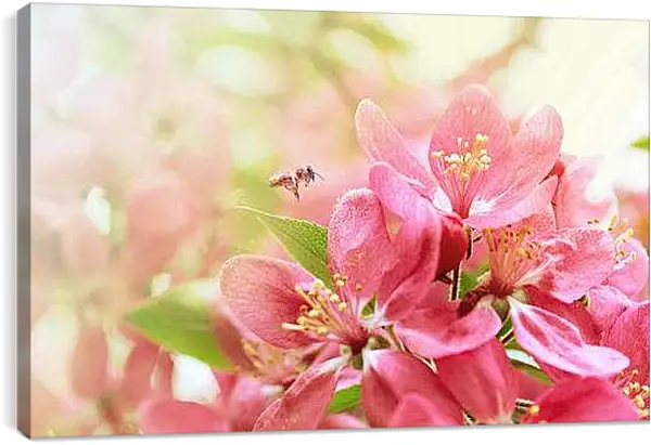 Постер на подрамнике - Весна