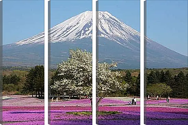 Модульная картина - Гора Фудзияма 3. Япония