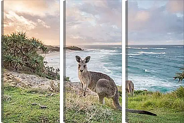 Модульная картина - Кенгуру
