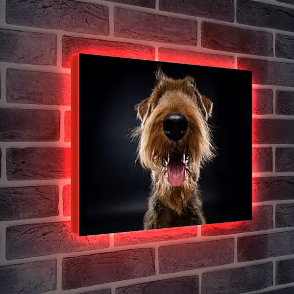 Лайтбокс световая панель - Эрдельтерьер