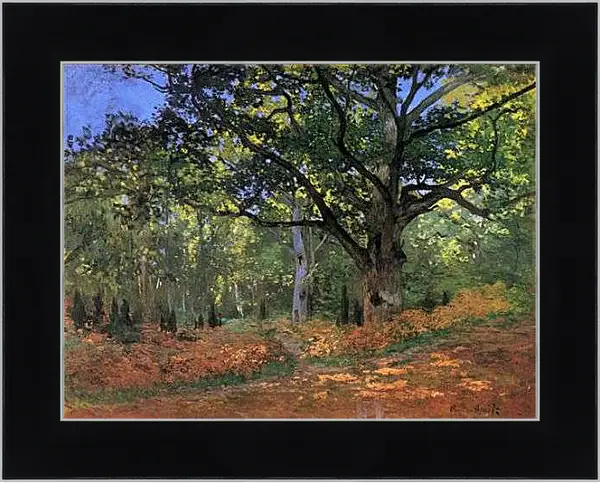 Картина в раме - The Bodmer Oak, Fontainbleau Forest. Клод Моне