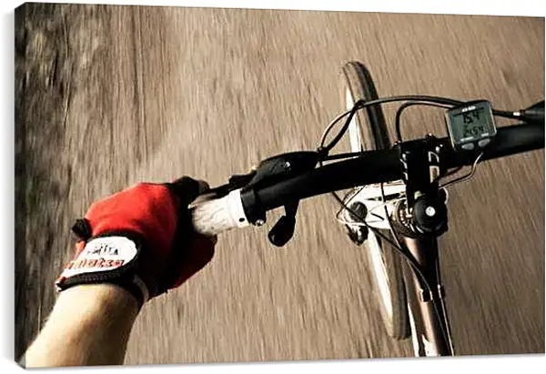 Постер на подрамнике - По бездорожью