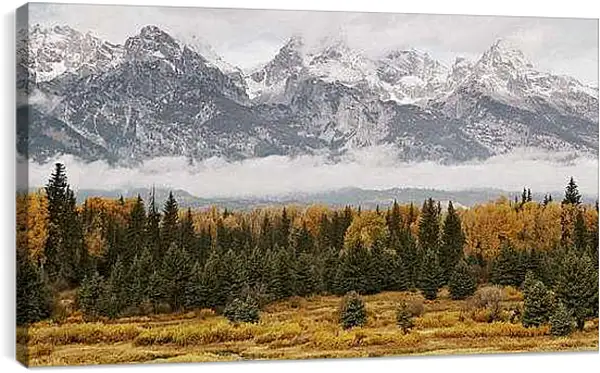 Постер на подрамнике - Зима