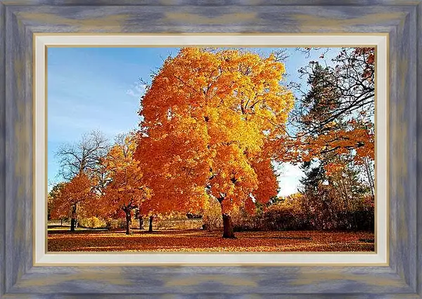 Картина в раме - Осень