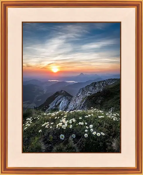 Картина в раме - Закат и цветы