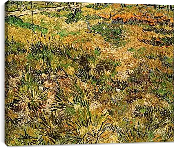 Постер на подрамнике - Meadow in the Garden of Saint-Paul Hospital. Винсент Ван Гог