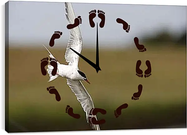 Часы картина - Чайка