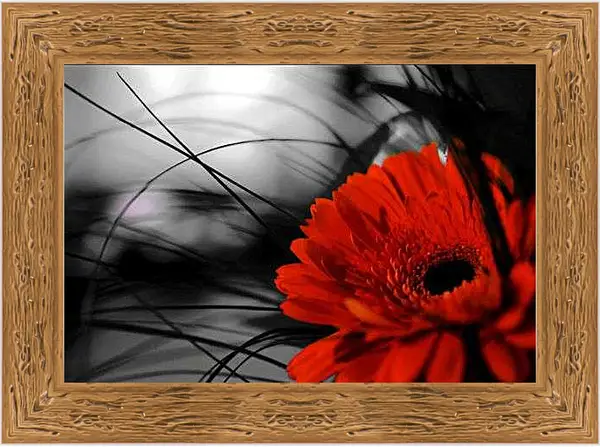 Картина в раме - Красный цветок