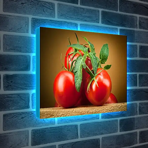 Лайтбокс световая панель - Спелые помидоры. Сочные Томаты.