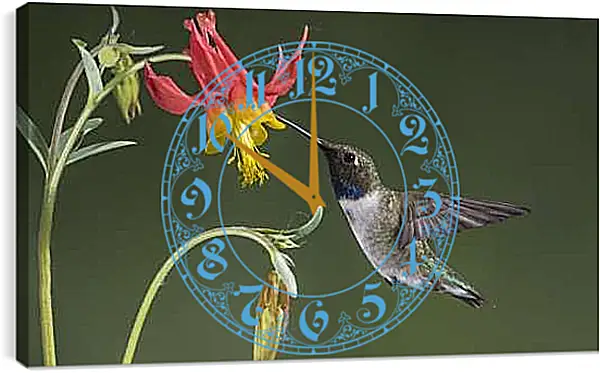 Часы картина - Колибри