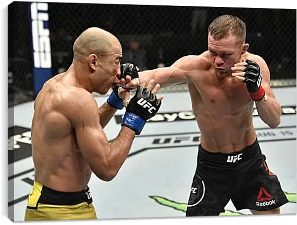 Постер на подрамнике - UFC. MMA. Пётр Ян