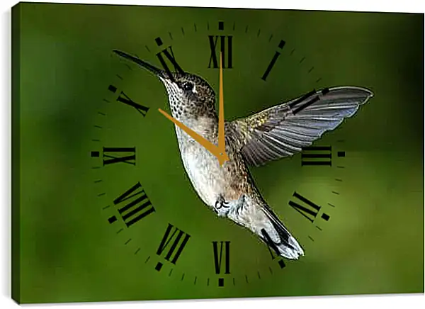 Часы картина - Колибри