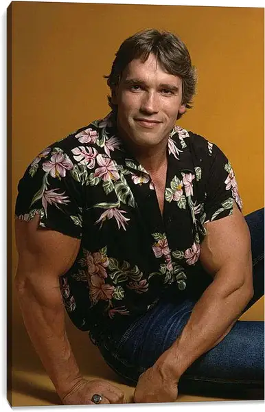 Постер на подрамнике - Арнольд Шварценеггер (Arnold Schwarzenegger)