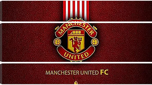 Модульная картина - Эмблема ФК Манчестер Юнайтед