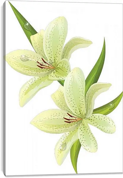 Постер на подрамнике - Белая лилия