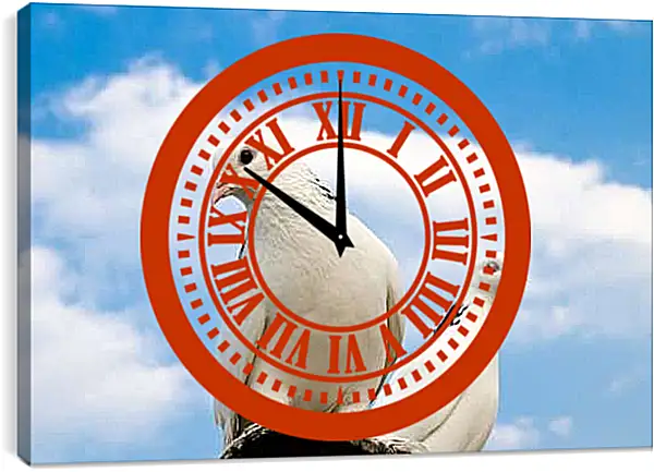 Часы картина - Голуби