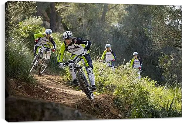 Постер на подрамнике - Спорт