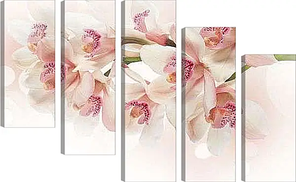 Модульная картина - Белые орхидеи