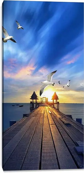 Постер на подрамнике - Парящие чайки над причалом