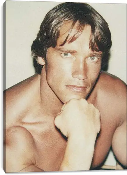 Постер на подрамнике - Арнольд Шварценеггер (Arnold Schwarzenegger)