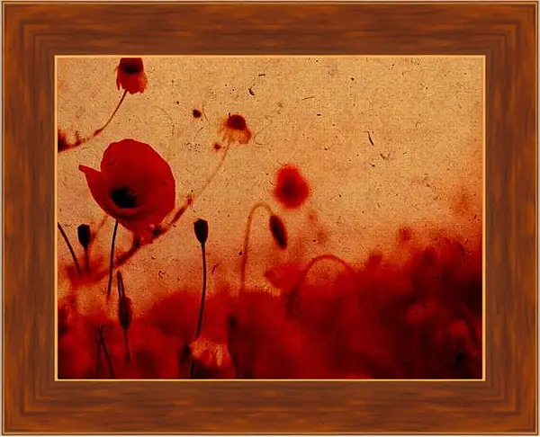 Картина в раме - Застаренный мак