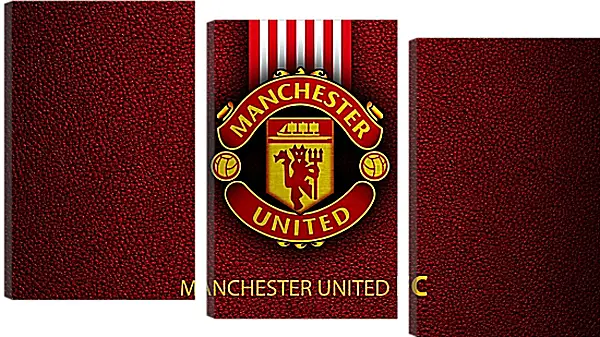 Модульная картина - Эмблема ФК Манчестер Юнайтед