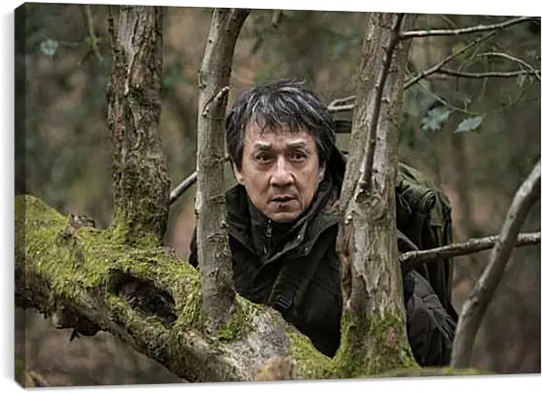 Постер на подрамнике - Джеки Чан. Иностранец