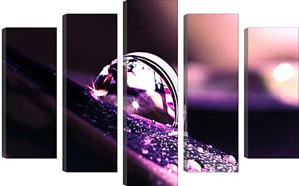 Модульная картина - Капля росы