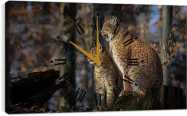 Часы картина - Рыси