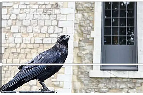 Модульная картина - Чёрный ворон на фоне кирпичной стены
